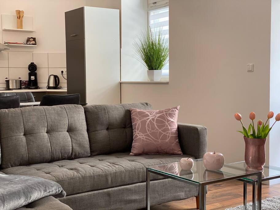 Akk3 Apartment Magdeburg Altstadt Zentral Balkon エクステリア 写真